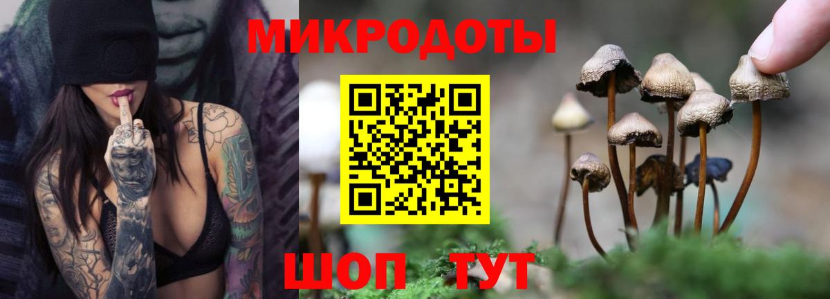 Галлюциногенные грибы мицелий  Галлюциногенные грибы Cubensis  Видное  Вход с VPN 